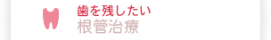 歯を残したい・顎が痛い 口腔外科・根管治療