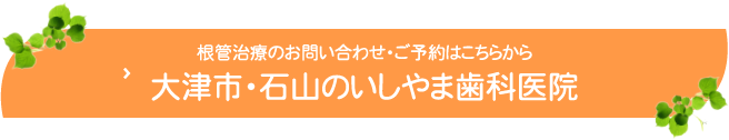 根管治療のお問い合わせ・ご予約はこちらから大津市・石山のいしやま歯科医院